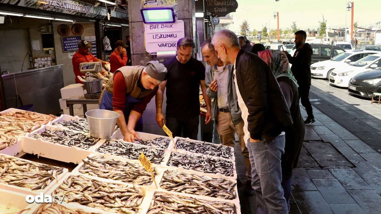 hamside fiyatlar havaya gore Gp7jdESu