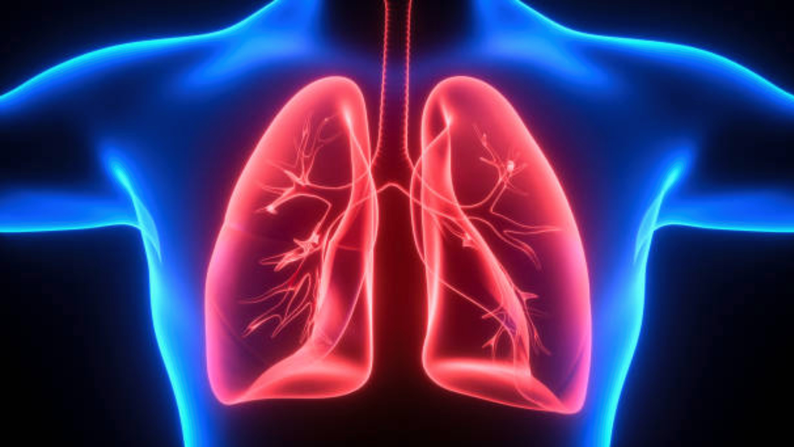 samsunda 1 yilda 188 kisiye nadir gorulen akciger hastaligi tanisi konuldu bircok kanser turunden daha fazla olume yol acabiliyor Xja5SBEF