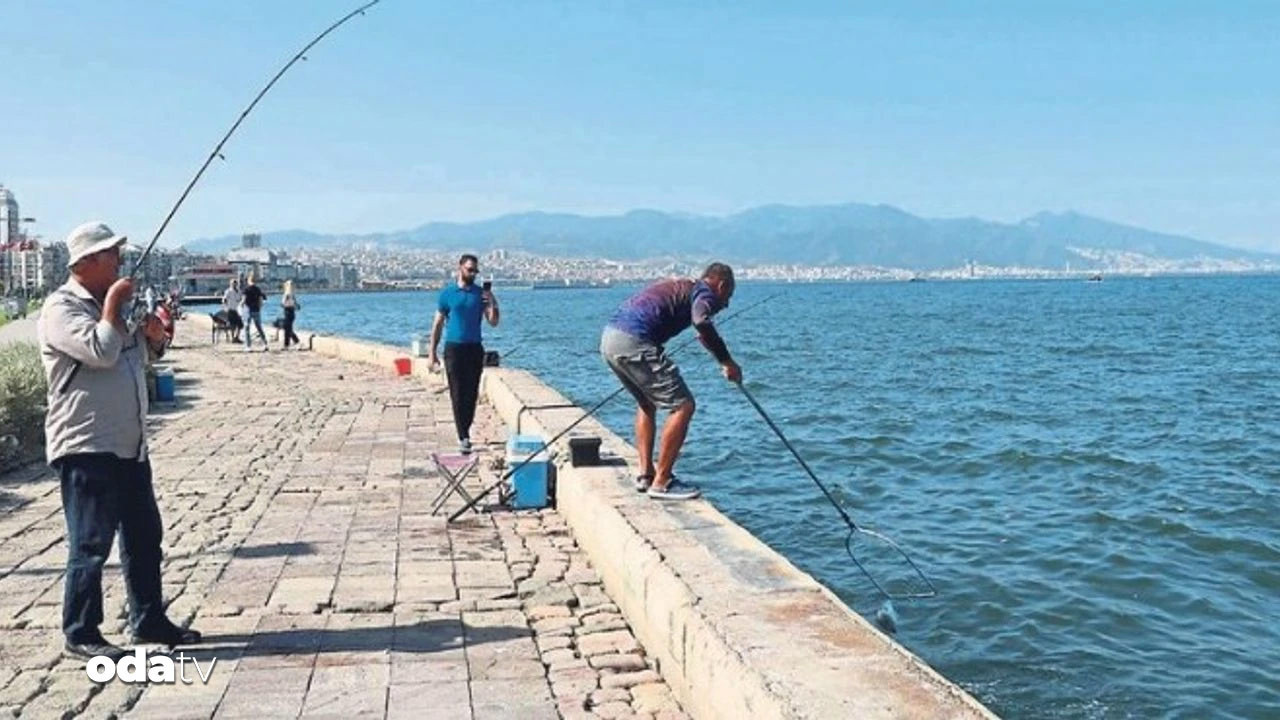 izmirde korkunc olay oltaya insan kafasi takildi zRQtZ3LH.jpg