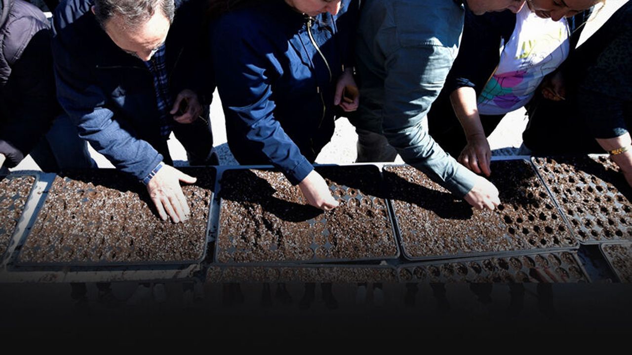 Bornova’da kent bostanları büyüyor… Kadın üretici sayısı artıyor