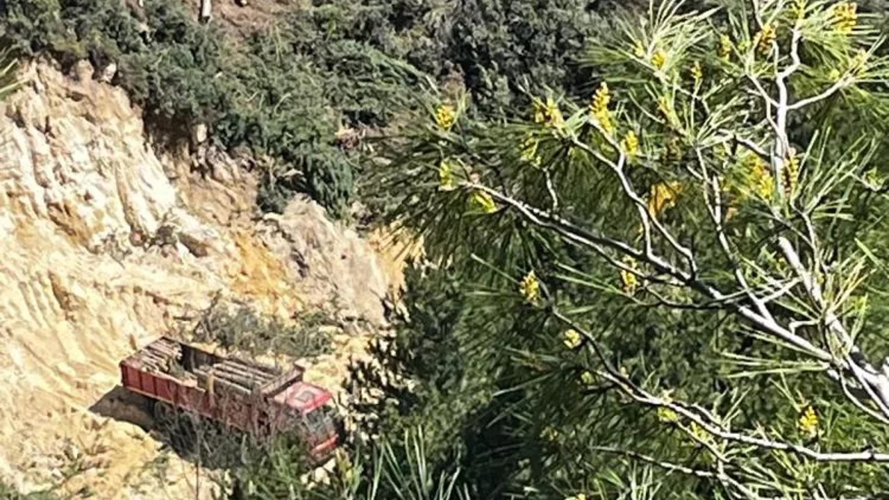 Tartışmalı Maden Projesinde Ağaç Kesim İşlemleri Başladı