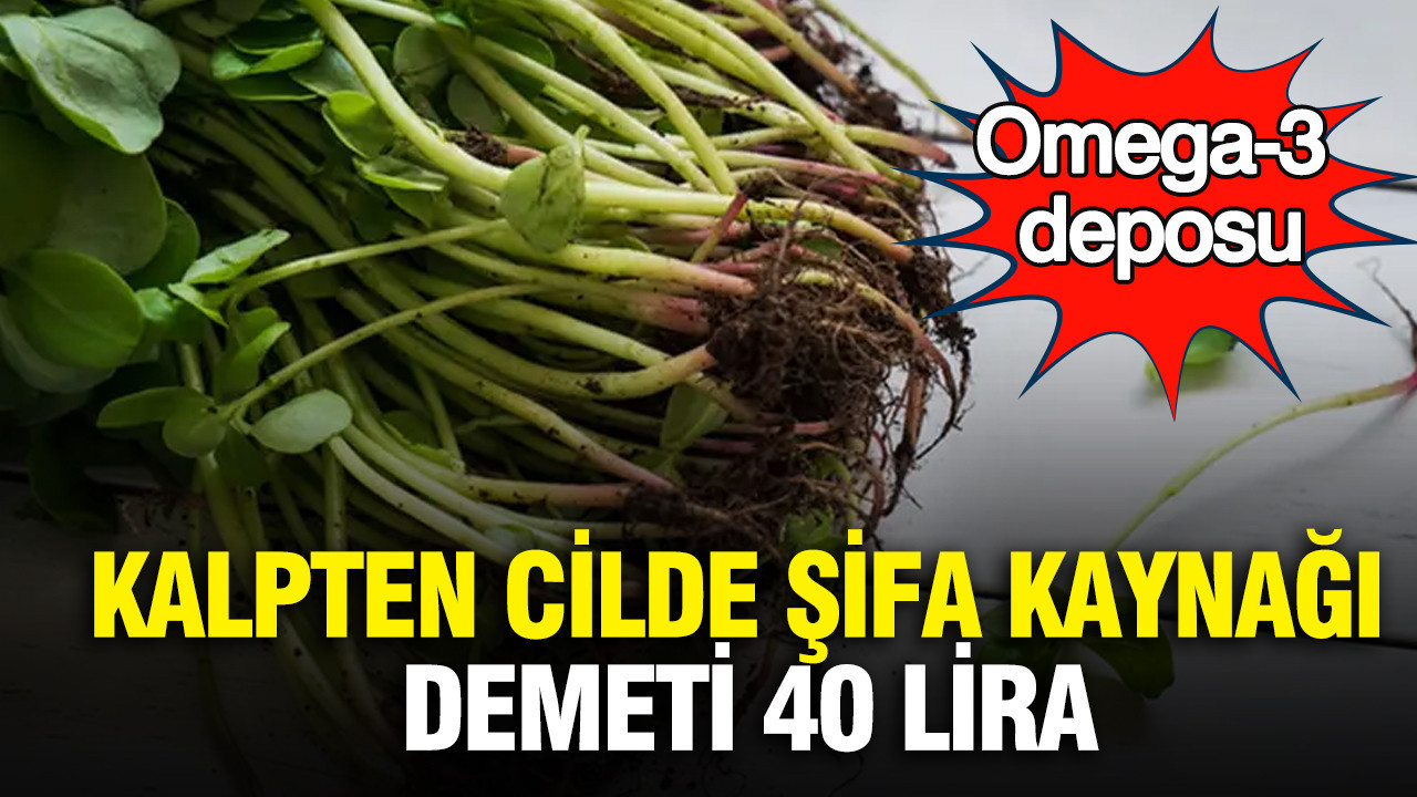 Semizotu: Kalp Sağlığından Cilt Güzelliğine Her Yöne Faydasıyla 40 Liralık Doğal Mucize